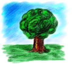 Chinese Tree Astrology reveals a lot about you!