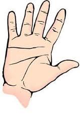 Palmistry For All by Cheiro - Classic book on Palmistry now download free!