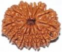 Rudraksha for your inner peace and happiness